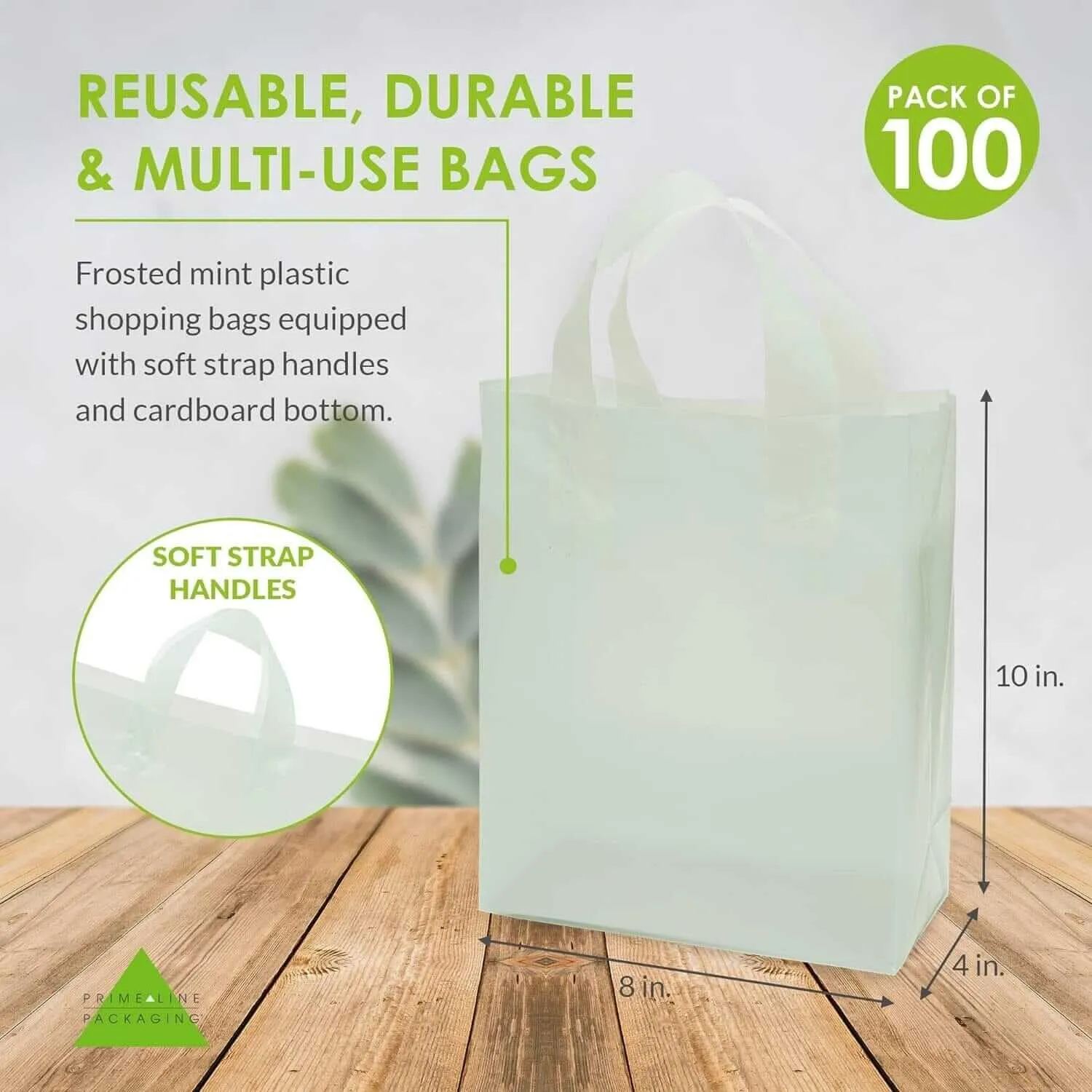 8x4x10 Small Frosted Mint Plastic Bags with Handles