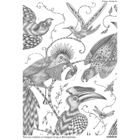 Audubon Colouring Page Free Download