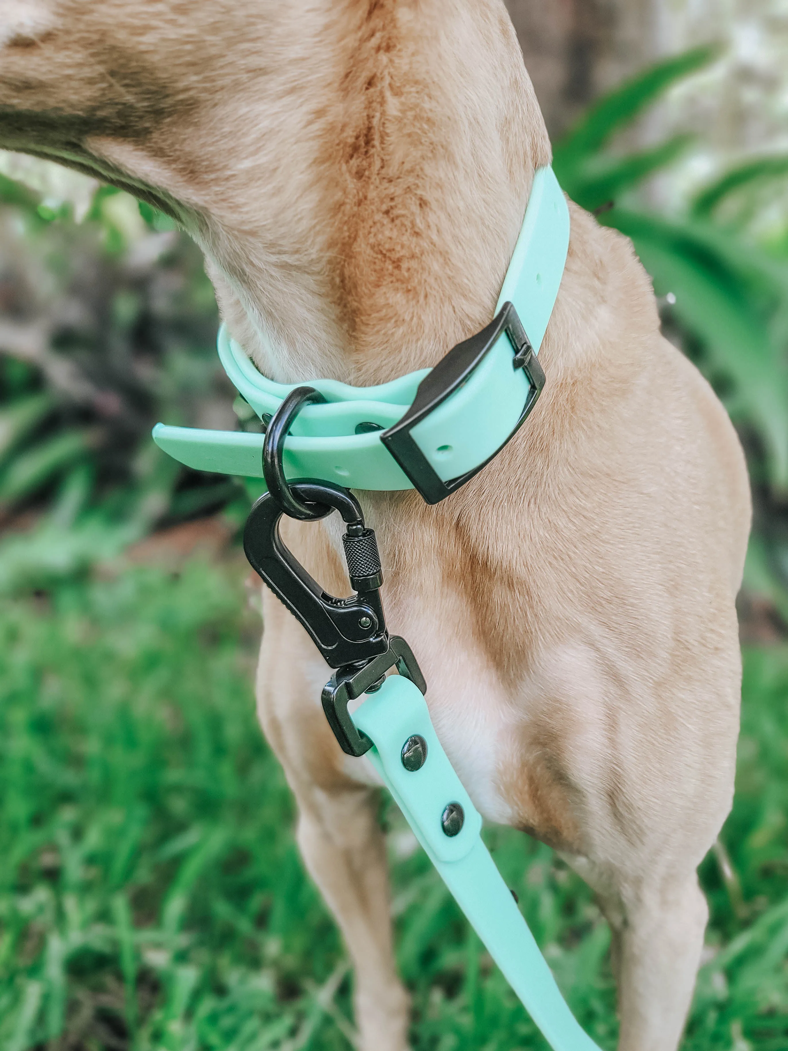 Dog Waterproof Collar - Green