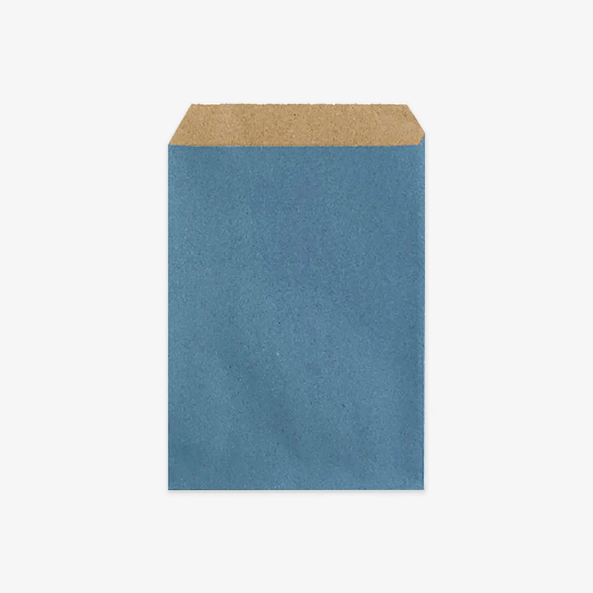 DUST BLUE PAPER GIFT BAG // L