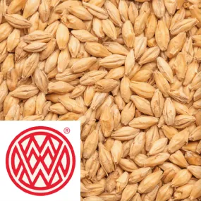 Pale Ale Malt - Weyermann (GER) - per kg