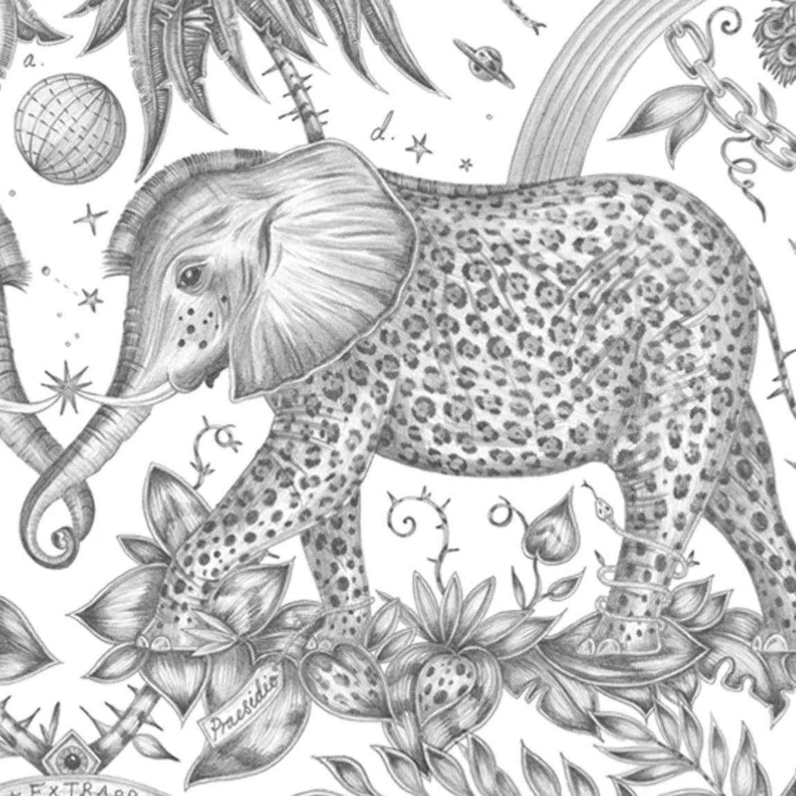 Zambezi Colouring Page Free Download